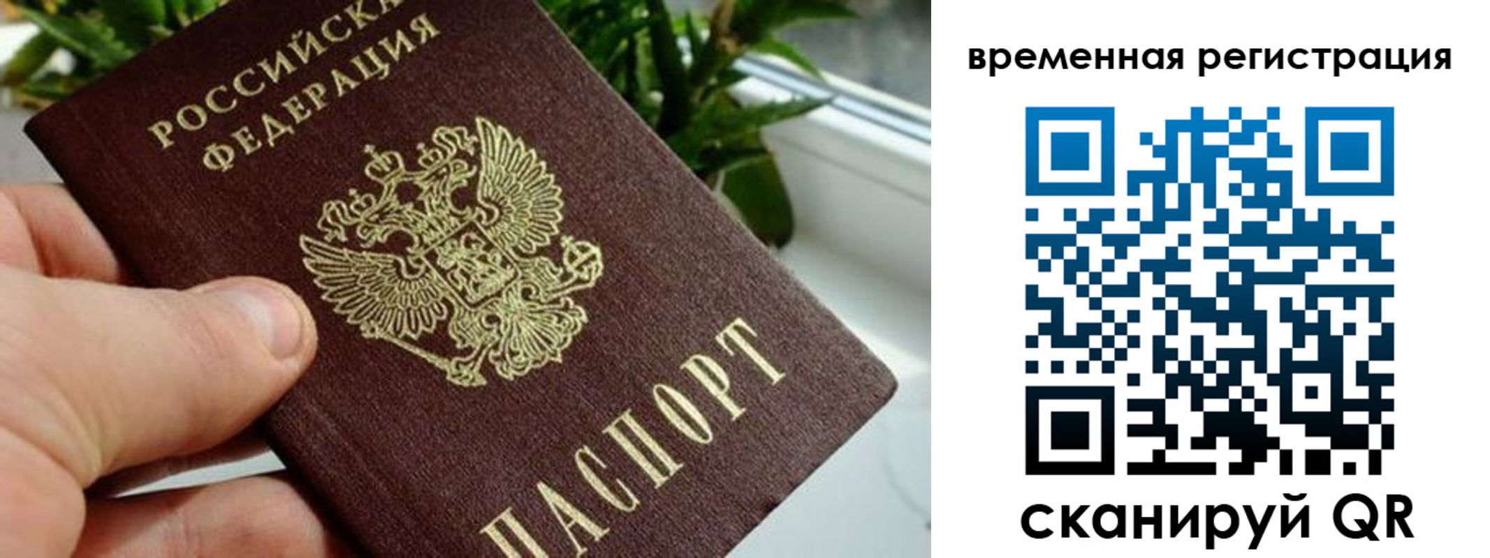 прописка поиск в Твери